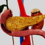 Da li je moguće jesti sjemenke bundeve s pankreatitisom